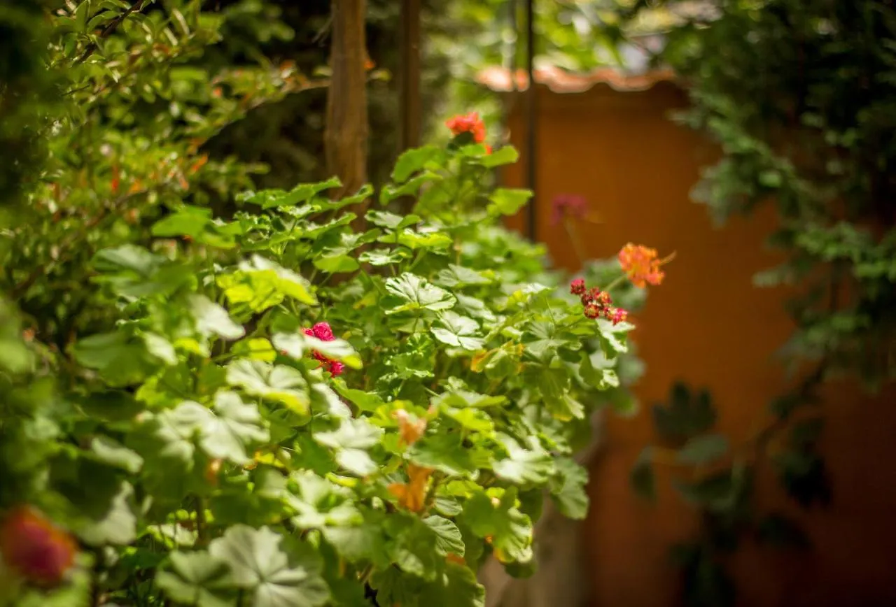 Family Hotel Saint Iliya Burgas